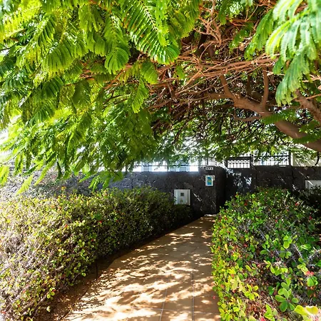 Marina Rubicon Number 4 Apartamento Playa Blanca (Lanzarote)